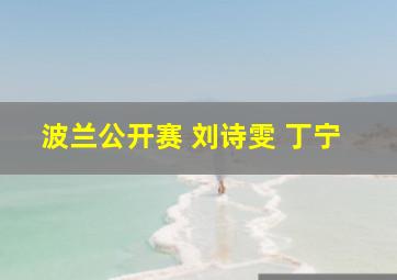 波兰公开赛 刘诗雯 丁宁